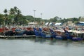 kerala, India- March 25, 2023 fishing boats halted in fort kochi boat yard during trawling ban in kerala