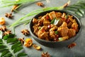 Kerala recipe- Bowl of spicy mutton curry. Royalty Free Stock Photo