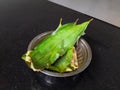 Kerala Style Tasty Kumbilappam Wrapped In Indian Bay Leaf. Selective Focus