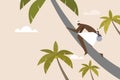 A toddy tapper climbing up a coconut trees to collect the sap Royalty Free Stock Photo