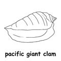 Kids line illustration coloring pacific giant clam. outline vector for children. cute cartoon characters