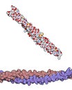 Keratin intermediate filament, chemical structure. Keratin is one of the main components of human skin, hair and nails