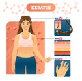 Keratin vector illustration. Hair, skin and nails example on woman.