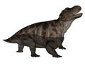 Keratocephalus dinosaur roaring - 3D render Royalty Free Stock Photo