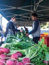 Kerikeri, New Zealand, NZ - August 19, 2018: Radishes at vegetable produce stall at the Bay of Islands FarmersÃ¢â¬â¢ Market Royalty Free Stock Photo