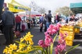 Kerikeri, New Zealand, NZ - August 26, 2018: Shoppers and stalls Royalty Free Stock Photo