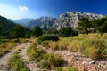 Kerkes mountain. Samos island. Greece Royalty Free Stock Photo