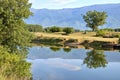 Kerkini lake at nord Greece Royalty Free Stock Photo