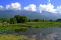 Kerkini lake shore,Greece