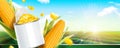 Kernel corn can banner ads