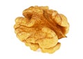 Kernel walnut isolated on a white background Royalty Free Stock Photo