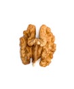 Kernel walnut isolated