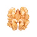 Kernel walnut isolated on white Royalty Free Stock Photo