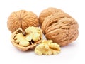 Kernel and whole walnut isolated on white background Royalty Free Stock Photo