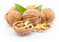 Kernel and whole walnuts with leaves isolated on white background Royalty Free Stock Photo