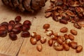 Kernels of cedar nuts, shells and cones of Siberian pine. Royalty Free Stock Photo