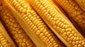 kernels corn texture Royalty Free Stock Photo