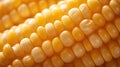 kernels macro corn background Royalty Free Stock Photo