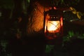 Kerosene lamp in the dark. Kerosene lamp on a tree in the garden