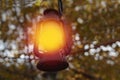 Kerosene lamp shines under trees evening time in a garden/backyard