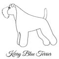 Kerry Blue terrier dog coloring