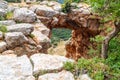 The Keshet Cave - ancient natural limestone arch spanning the remains of a shallow cave with sweeping views near Shlomi city in Is