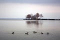 Keszthely. Hungary. Ducks and lake