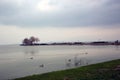 Keszthely. Hungary. Ducks and lake