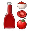 Ketchup bottle, tomato sauce in a plate, tomato. Vector engraving Royalty Free Stock Photo