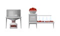 Ketchup manufacturing process set. Washing vegetables and boiling vector illustration