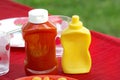 Ketchup and mustard Royalty Free Stock Photo