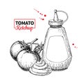 Ketchup sauce bottle with tomatoes. Vector drawing. Food flavor