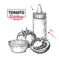 Ketchup sauce bottle with tomatoes. Vector drawing. Food flavor