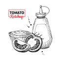 Ketchup sauce bottle with tomatoes. Vector drawing. Food flavor