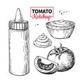 Ketchup sauce bottle with tomatoes. Vector drawing. Food flavor