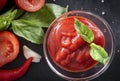 Ketchup with a sprig of green Basil, tomato slices, chili pepper, garlic on a black background, sauce Royalty Free Stock Photo