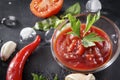 Ketchup with a sprig of green parsley, herbs, tomato slices, red chili pepper, garlic, ice cubes, on a black , sauce top view Royalty Free Stock Photo
