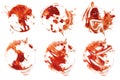 Ketchup Stain 6 Royalty Free Stock Photo