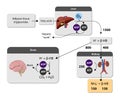 Ketogenesis transforms fats and some amino acids into ketone bodies, providing an alternative fuel source, crucial during fasting