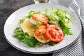 Ketogenic lunch. Chicken burger with tomato, cucumber, cheese and arugula salad without bun. Chicken patties. Healthy food. Keto/