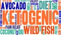 Ketogenic Word Cloud