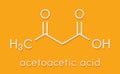 Ketone body acetoacetic acid, diacetic acid molecule. Skeletal formula.