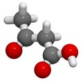 Ketone body (acetoacetic acid), molecular model