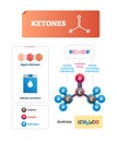 Ketones vector illustration. Sugars and solvent chemical organic compound. Royalty Free Stock Photo