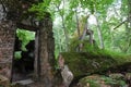 Hermann Goring's bunker at Wolf's Lair (Wilczy Szaniec, Wolfsschanze) built by the Organisation Tod