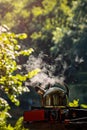 the kettle boils on a folding camping gas stove Royalty Free Stock Photo