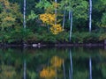 Kettle Moraine Lake Reflection Wisconsin Royalty Free Stock Photo