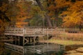Kettle Moraine State Forest in Autumn Royalty Free Stock Photo