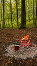 A kettle with natural herbal tea outside in nature near the fire. Living a healthy life close to nature Royalty Free Stock Photo