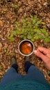 A kettle with natural herbal tea outside in nature near the fire. Living a healthy life close to nature Royalty Free Stock Photo